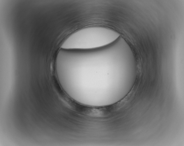 X0000113320166200909140954