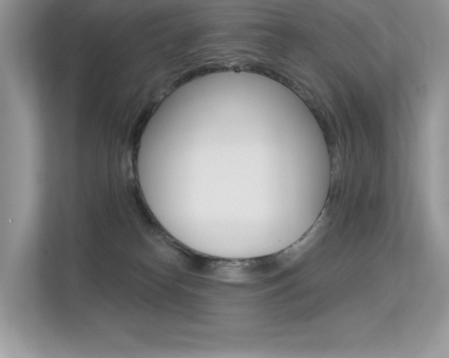 X0000113320182200909140954