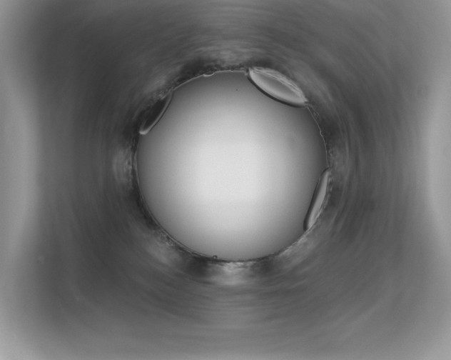 X0000113320184200909140954