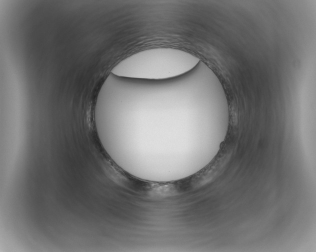 X0000113320185200909140954