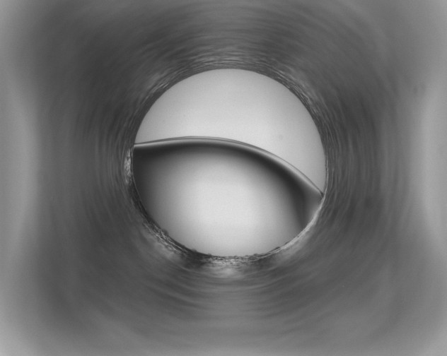 X0000113320190200909140954