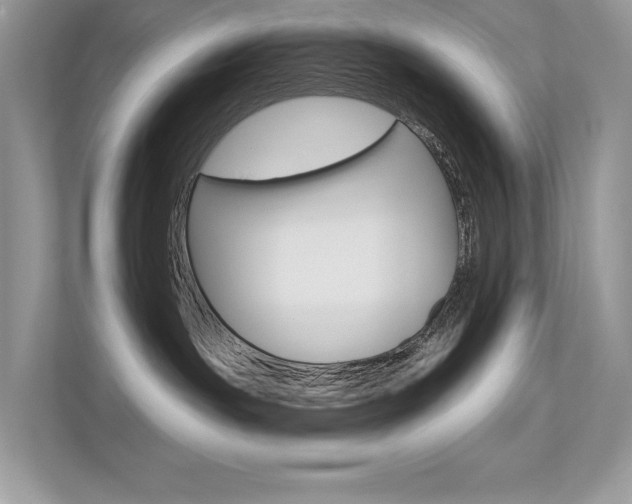X0000113320191200909140954