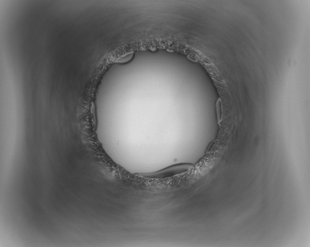 X0000113320192200909140954