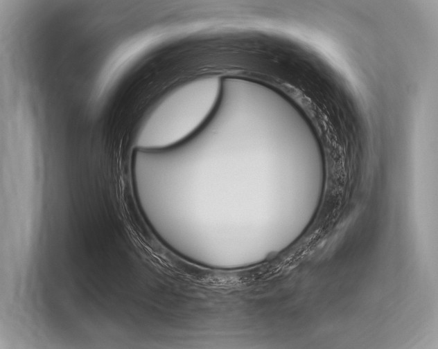 X0000113320194200909140954
