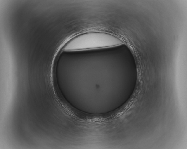 X0000113320196200909140954