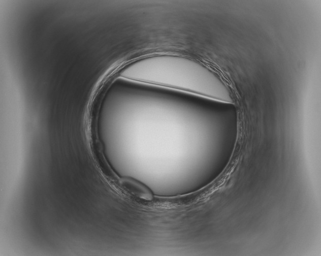 X0000113320197200909140953