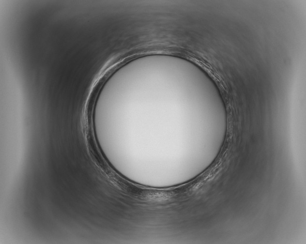 X0000113320198200909140953