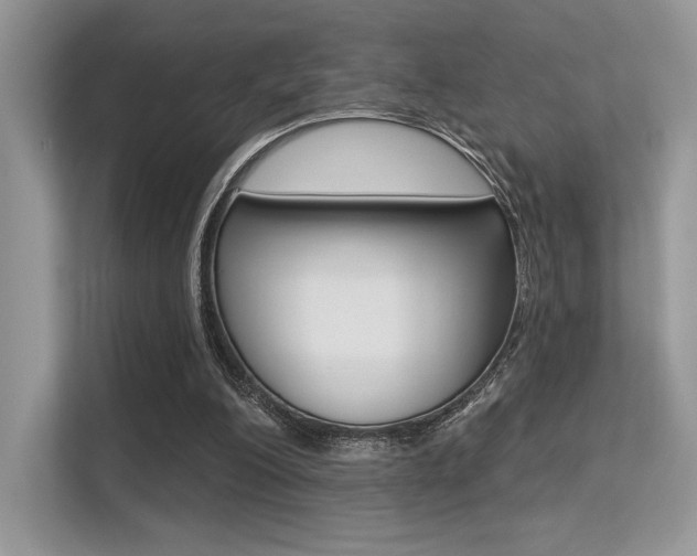 X0000113320200200909140953
