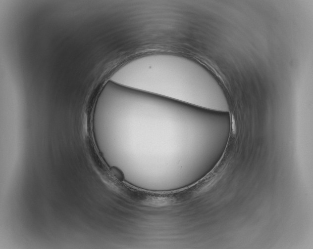 X0000113320205200909140953