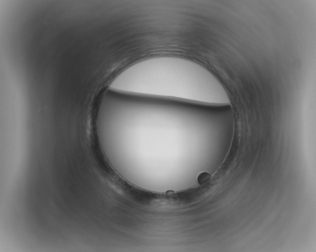 X0000113320211200909140953