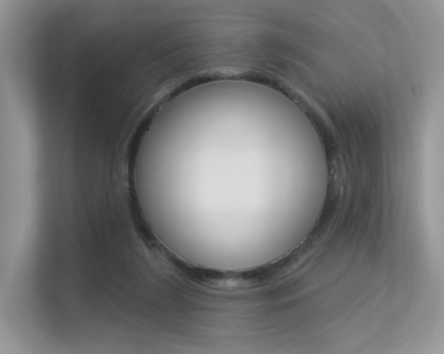 X0000113320212200909140953