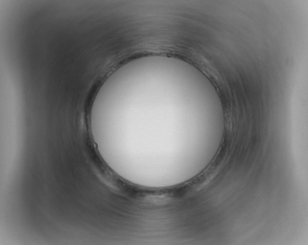 X0000113320213200909140953
