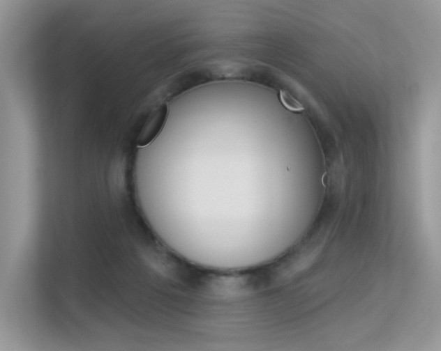 X0000113320217200909140953