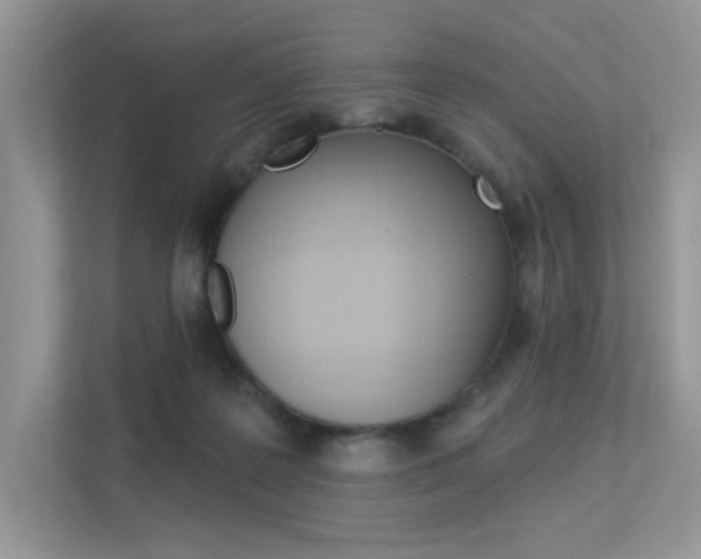 X0000113320219200909140953