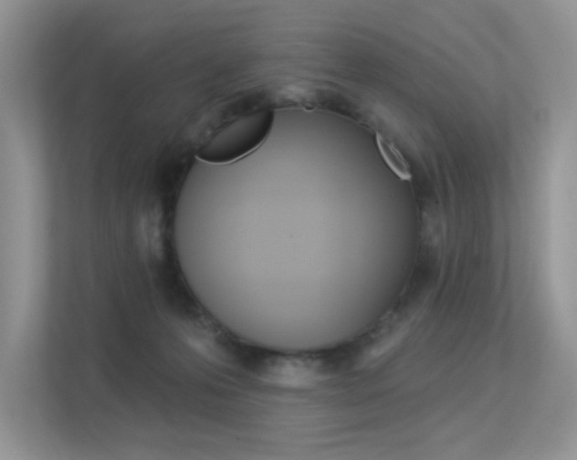 X0000113320223200909140953