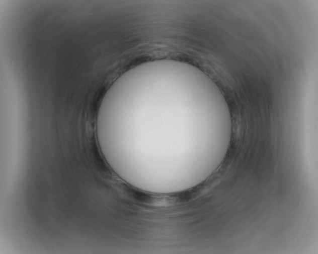 X0000113320226200909140953