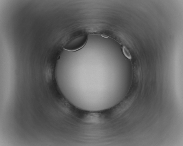 X0000113320227200909140953