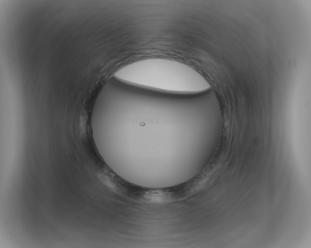 X0000113320231200909140953