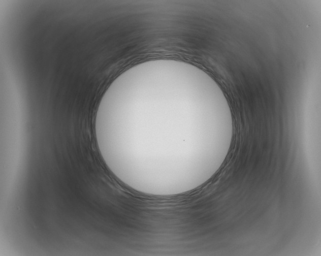 X0000113320233200909140953