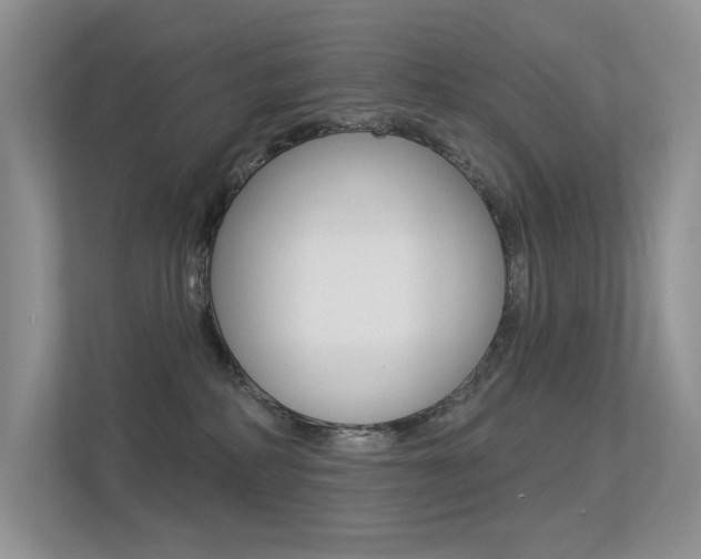 X0000113320234200909140953