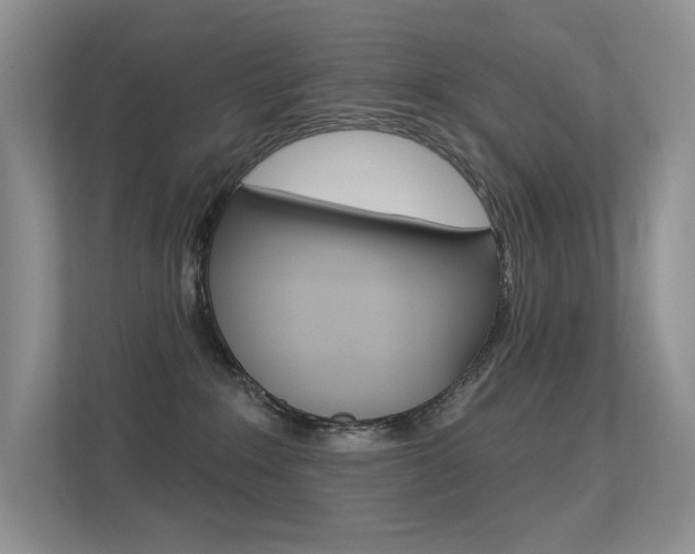 X0000113320235200909140953