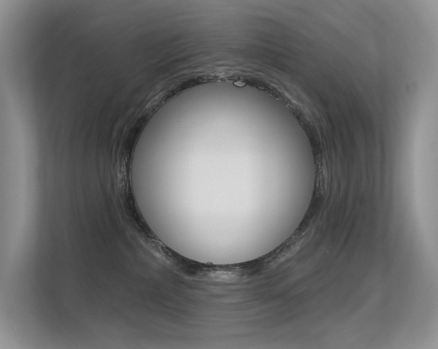 X0000113320236200909140953