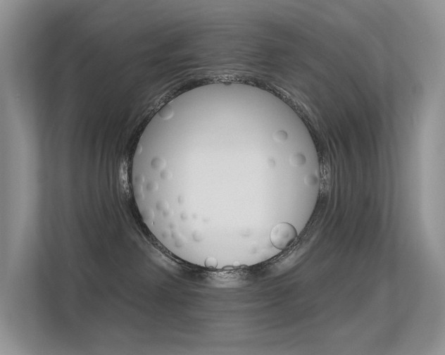 X0000113320238200909140953