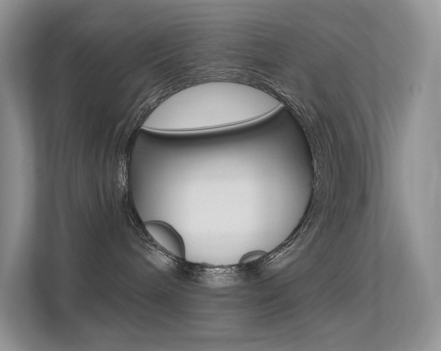 X0000113320240200909140953