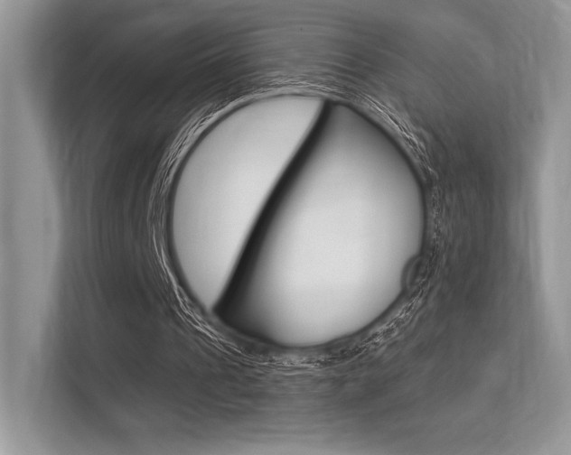 X0000113320241200909140952