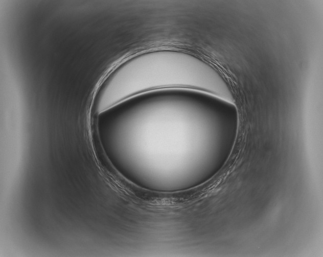 X0000113320244200909140952