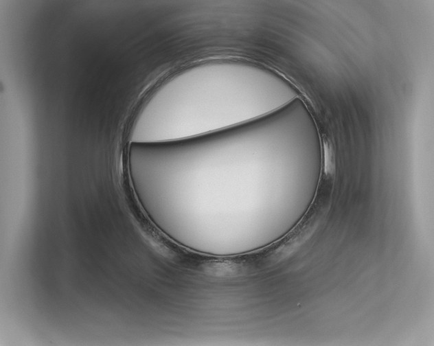 X0000113320253200909140952