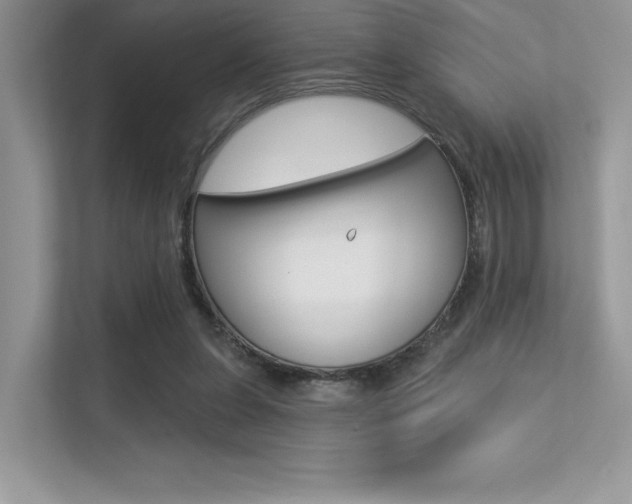 X0000113320255200909140952