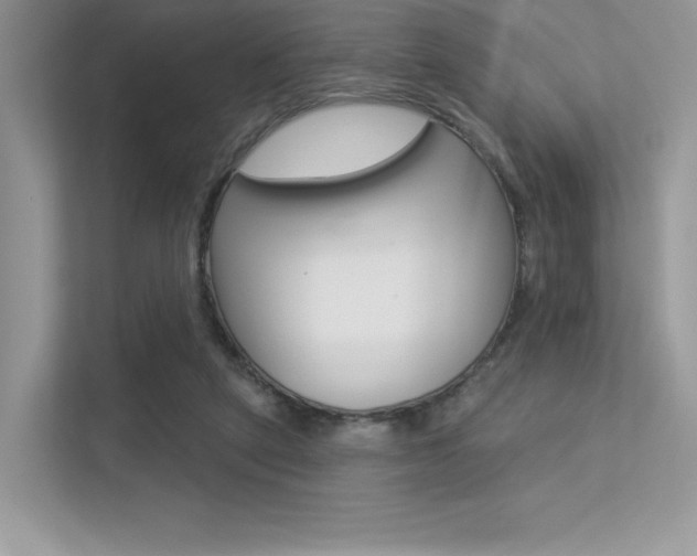 X0000113320257200909140953