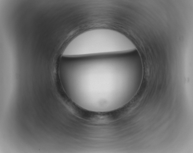 X0000113320260200909140953
