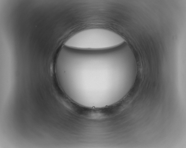 X0000113320262200909140953