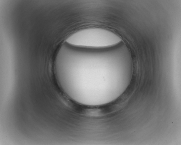 X0000113320266200909140953