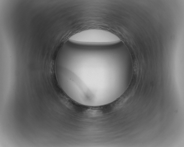 X0000113320280200909140953