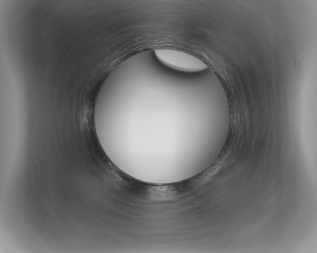 X0000113320281200909140953