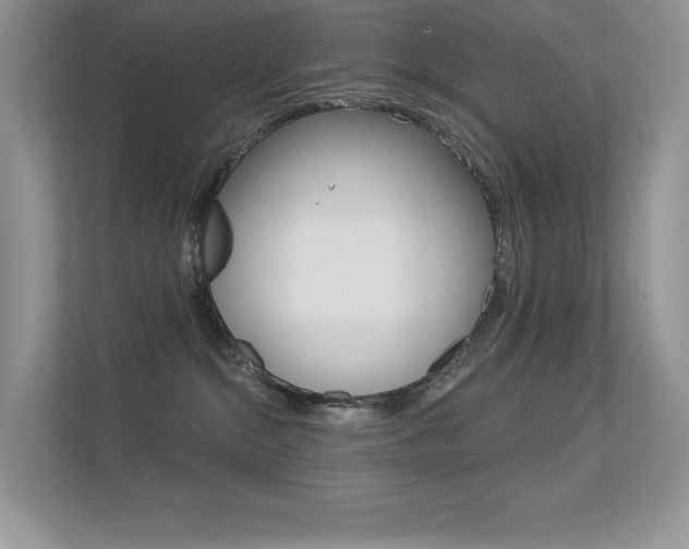 X0000113320284200909140953