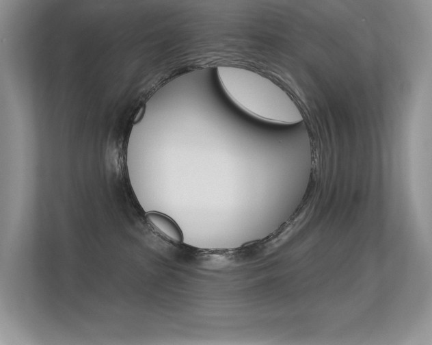 X0000113320285200909140953
