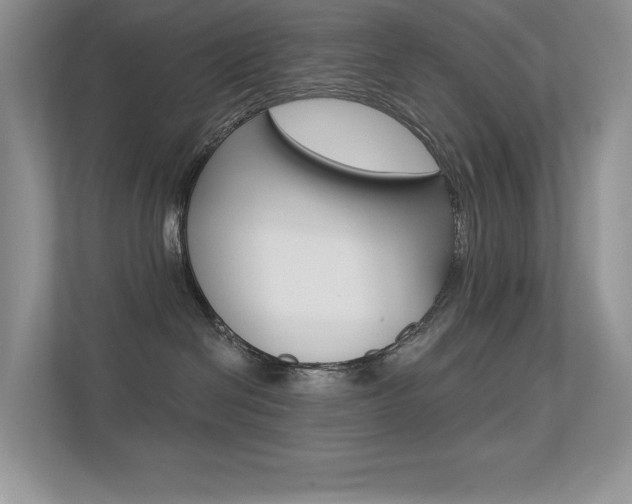 X0000113320286200909140953