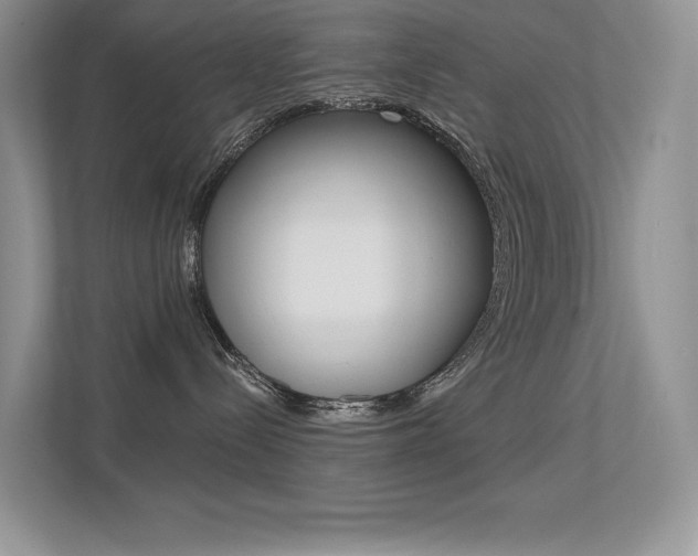 X0000113320288200909140953