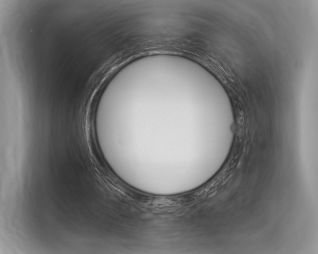 X0000113320290200909140952