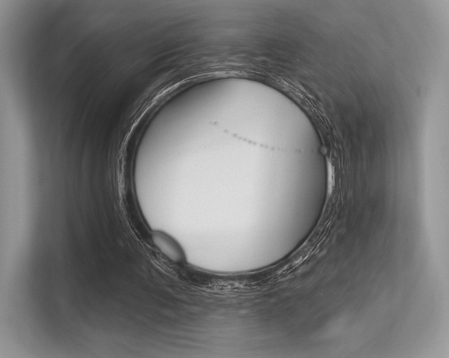 X0000113320291200909140952
