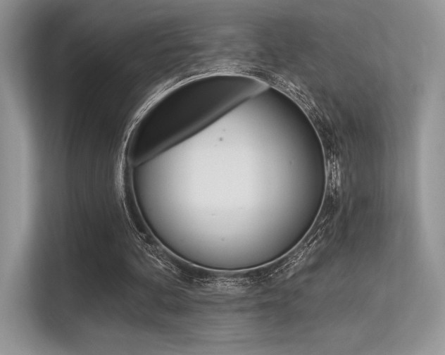X0000113320292200909140952