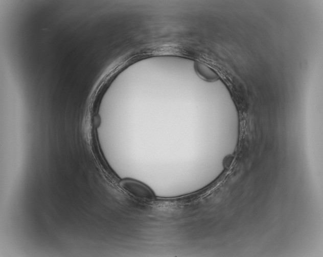 X0000113320293200909140952