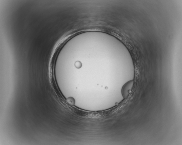 X0000113320294200909140952