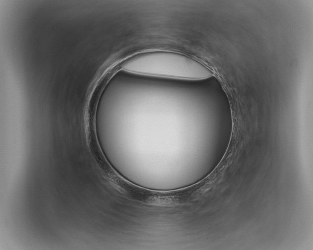 X0000113320296200909140952