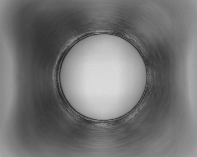 X0000113320298200909140952