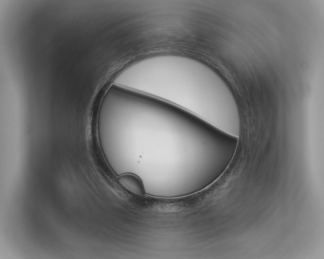 X0000113320299200909140952